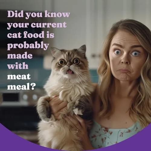 Halo Holistic Dry Kitten Food, Wild-Caught Salmon & Whitefish Recipe, 6 lb | Complete Digestive & Development Support thumbnail 2