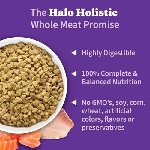 Halo Holistic Dry Kitten Food, Wild-Caught Salmon & Whitefish Recipe, 6 lb | Complete Digestive & Development Support thumbnail 4