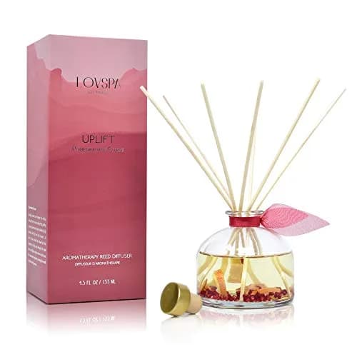 LOVSPA Reed Diffuser Set, Uplift Pomegranate Citrus Scented Oil Diffuser with Sticks, Home Fragrance Accessories for Bathroom Shelf Decor, USA Made thumbnail 1