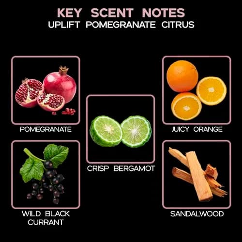 LOVSPA Reed Diffuser Set, Uplift Pomegranate Citrus Scented Oil Diffuser with Sticks, Home Fragrance Accessories for Bathroom Shelf Decor, USA Made thumbnail 3