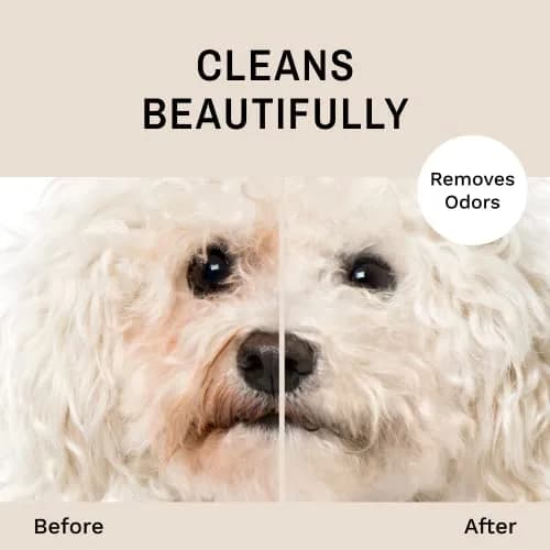 Eye Envy Tear Stain Facial Cleanser for Dogs & Cats 250ml (8.45 fl. oz.) | Gentle Foaming Formula for Eye Debris & Stains thumbnail 3