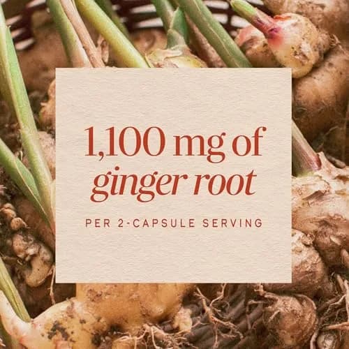 Nature's Way Ginger Root Capsules 1100 mg per Serving, 240 Count | Vegan, Non-GMO Project Verified thumbnail 4