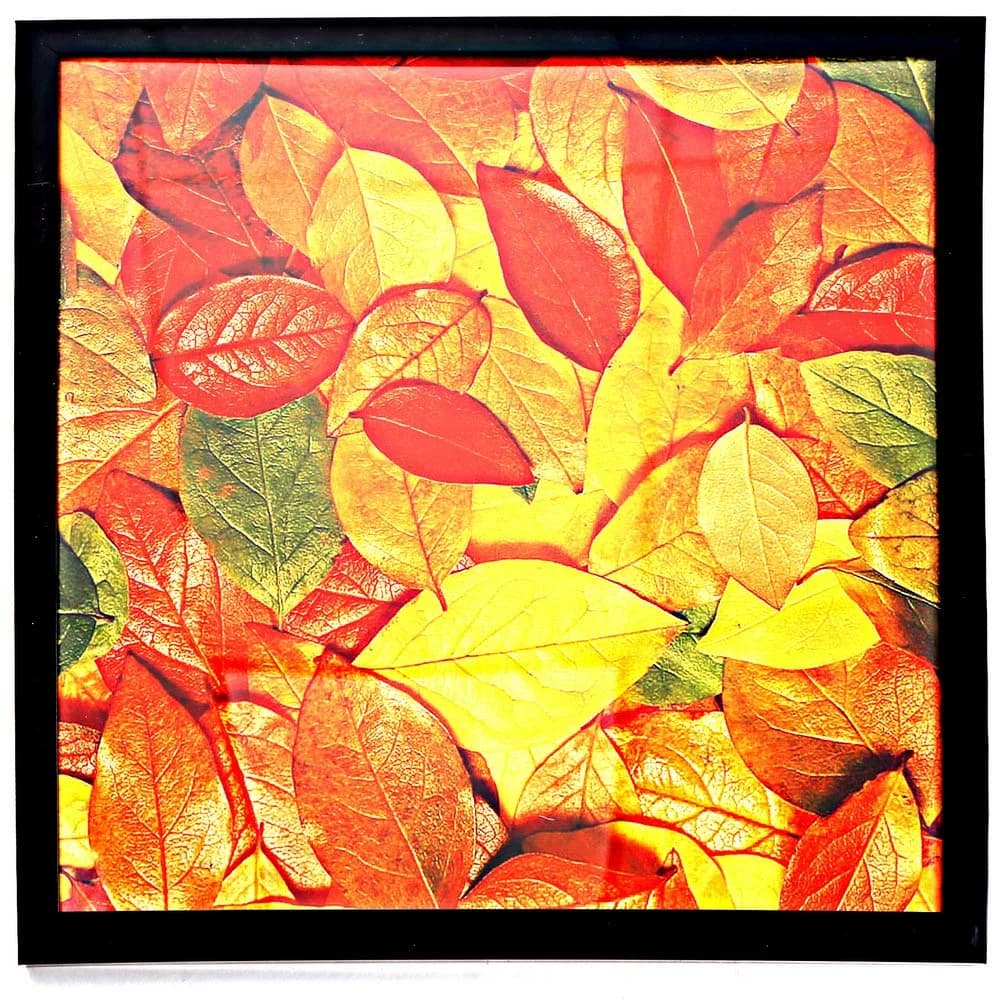 Medog 13x13 No Mat Square Wall Picture Frame | Acid-Free, Easy Hanging, Record Album Display (70-120 chars) - main product image