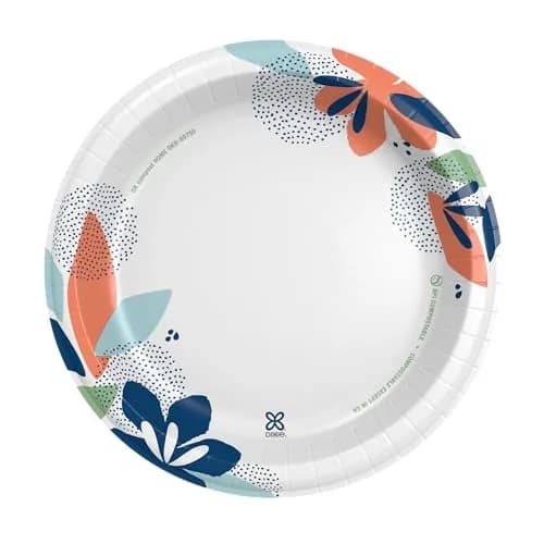 Dixie Large Paper Plates 10 Inch 54 Count | 2X Stronger, Soak-Proof, Cut-Resistant thumbnail 2