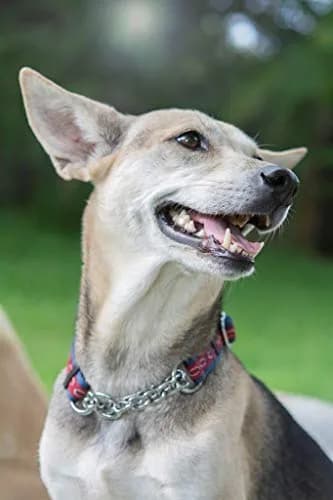 Tuff Pupper Martingale Dog Collar Large 18-26" Neck | Adjustable Nylon & Stainless Steel Chain for Training thumbnail 9