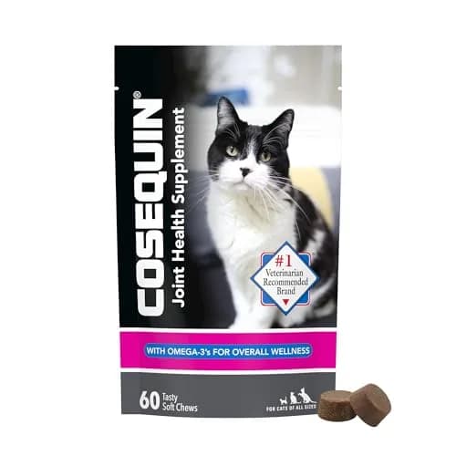 Nutramax Cosequin Joint Health Supplement for Cats, Soft Chews, 60 Count | Supports Joint, Skin & Coat Health thumbnail 1