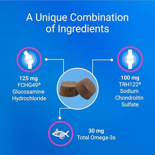 Nutramax Cosequin Joint Health Supplement for Cats, Soft Chews, 60 Count | Supports Joint, Skin & Coat Health thumbnail 4