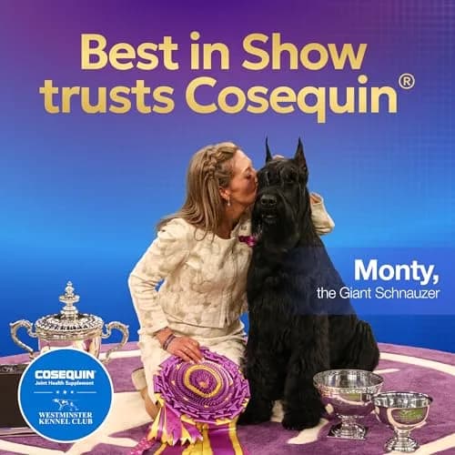 Nutramax Cosequin Joint Health Supplement for Cats, Soft Chews, 60 Count | Supports Joint, Skin & Coat Health thumbnail 8