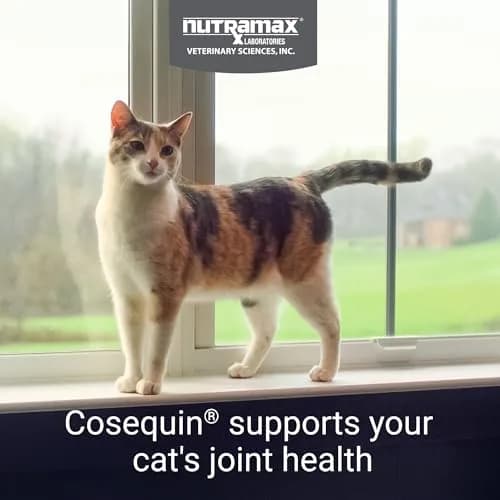 Nutramax Cosequin Joint Health Supplement for Cats, Soft Chews, 60 Count | Supports Joint, Skin & Coat Health thumbnail 2