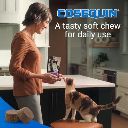 Nutramax Cosequin Joint Health Supplement for Cats, Soft Chews, 60 Count | Supports Joint, Skin & Coat Health thumbnail 3