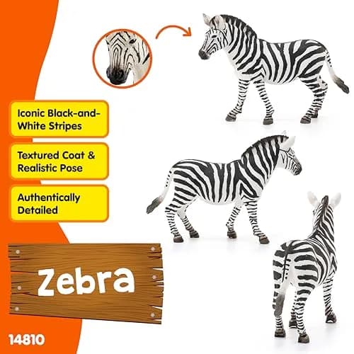 Schleich Zebra Female Wild Life Figurine 10.5 cm (4.1 inches) | Realistic Educational Toy for Kids 3-8 thumbnail 2