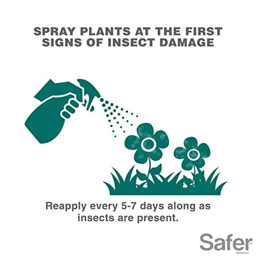 Safer Insect Killing Soap Concentrate 16 fl oz (473 ml) - 6 Pack | OMRI Listed Organic Insecticide thumbnail 4