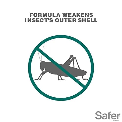 Safer Insect Killing Soap Concentrate 16 fl oz (473 ml) - 6 Pack | OMRI Listed Organic Insecticide thumbnail 3