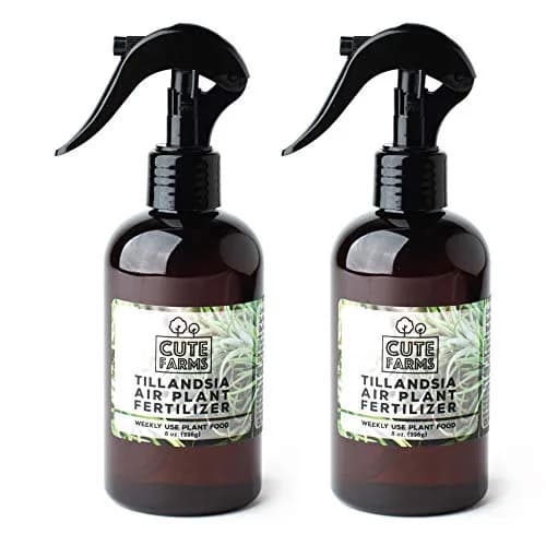 Cute Farms Air Plant Fertilizer Spray | Gentle Weekly Use Formula Plant Food | 16 fl oz (2 Pack) | Nutrient Blend for Epiphytes thumbnail 1