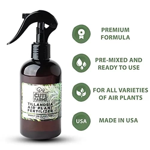 Cute Farms Air Plant Fertilizer Spray | Gentle Weekly Use Formula Plant Food | 16 fl oz (2 Pack) | Nutrient Blend for Epiphytes thumbnail 2