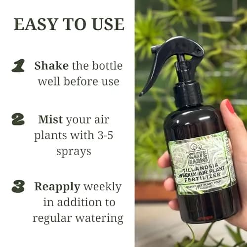 Cute Farms Air Plant Fertilizer Spray | Gentle Weekly Use Formula Plant Food | 16 fl oz (2 Pack) | Nutrient Blend for Epiphytes thumbnail 3