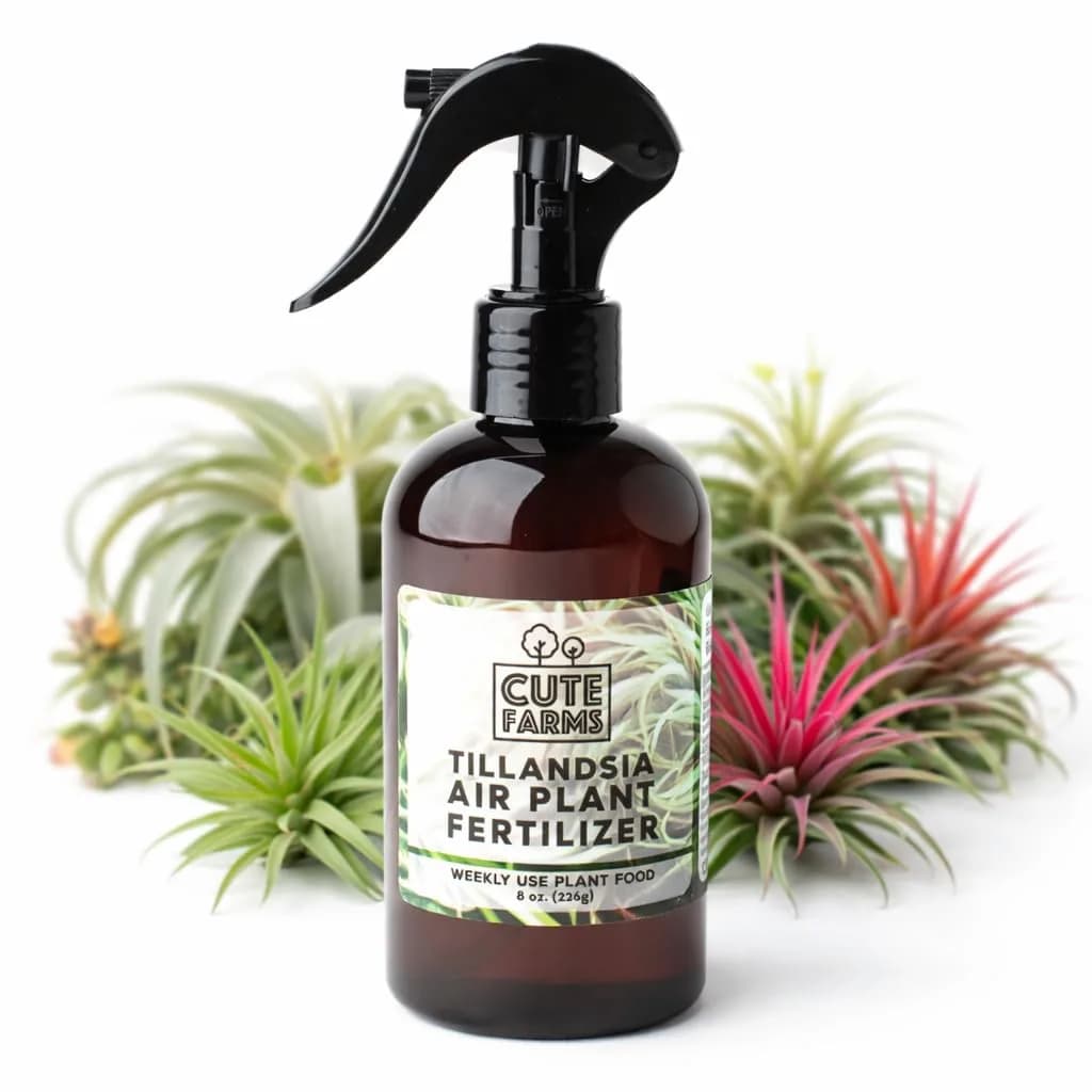 Cute Farms Air Plant Fertilizer Spray 118ml (4 fl oz) | Gentle Weekly Formula for Tillandsia — 8 oz
