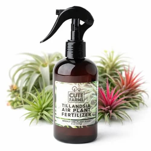 Cute Farms Air Plant Fertilizer Weekly Use Formula Plant Food 237ml (8 fl oz) | Gentle Nutrients for Tillandsia thumbnail 1