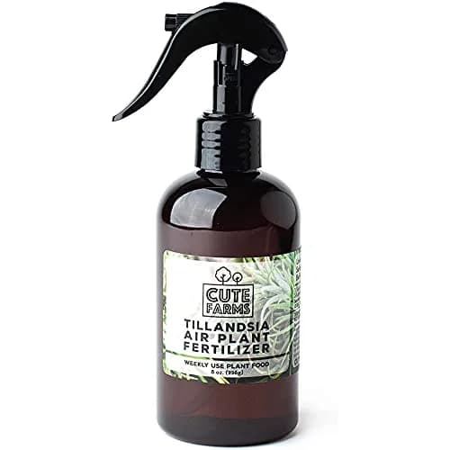 Cute Farms Air Plant Fertilizer Weekly Use Formula Plant Food 237ml (8 fl oz) | Gentle Nutrients for Tillandsia thumbnail 4