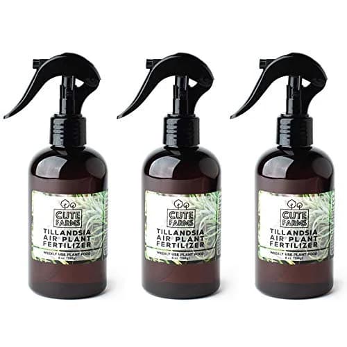 Cute Farms Air Plant Fertilizer Spray 24 fl oz (710 ml) | Gentle Weekly Use Formula Plant Food for Tillandsia thumbnail 1