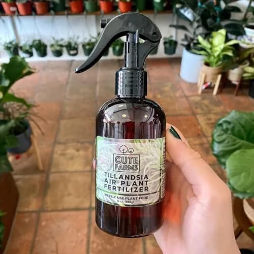 Cute Farms Air Plant Fertilizer Spray 24 fl oz (710 ml) | Gentle Weekly Use Formula Plant Food for Tillandsia thumbnail 6