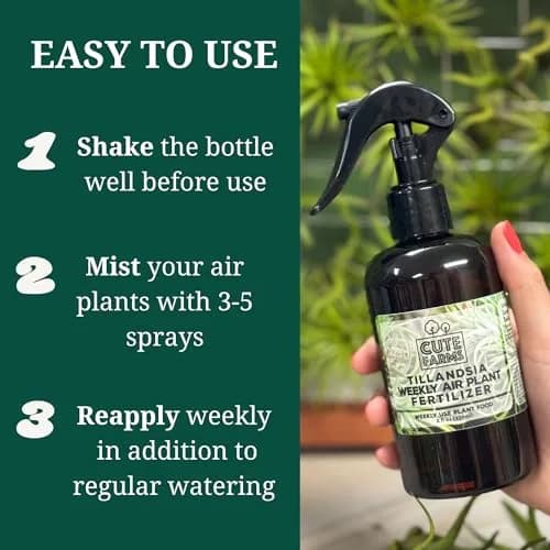 Cute Farms Air Plant Fertilizer Spray 24 fl oz (710 ml) | Gentle Weekly Use Formula Plant Food for Tillandsia thumbnail 3