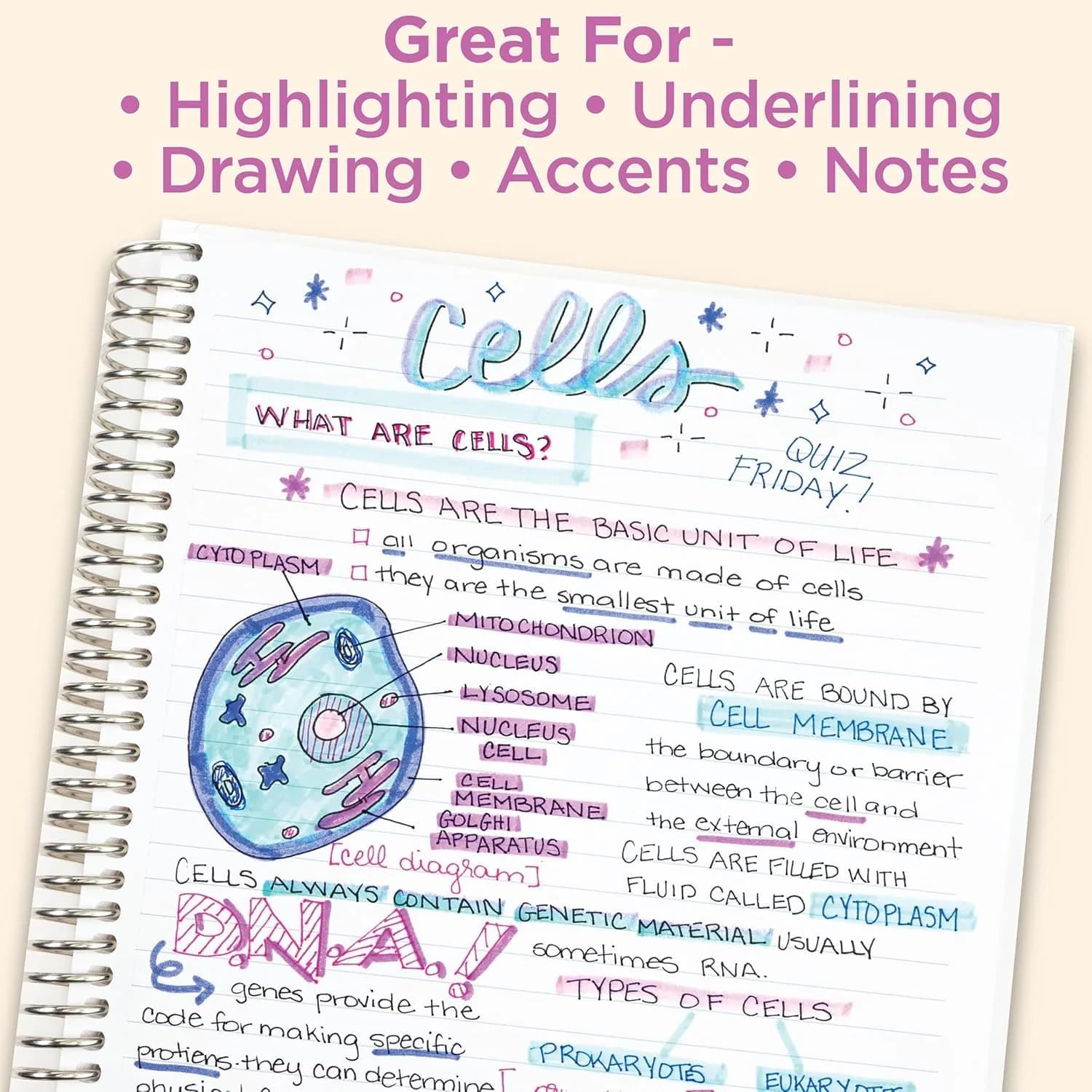 Zebra Pen Mildliner Dual Tip Highlighter Set, 15 Assorted Colors | AP Certified Non-Toxic - view 5