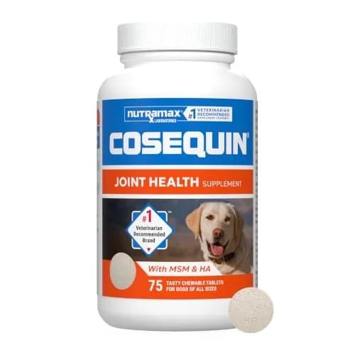 Nutramax Cosequin Dog Joint Supplement Tablets with MSM & HA, 75 Count | Vet Recommended Canine Mobility Support thumbnail 1