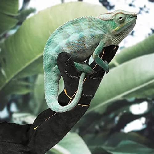 AOWPFVV Animal Handling Gloves 60cm (23.6in) | Bite Proof, Cut Resistant, Heat Resistant thumbnail 6