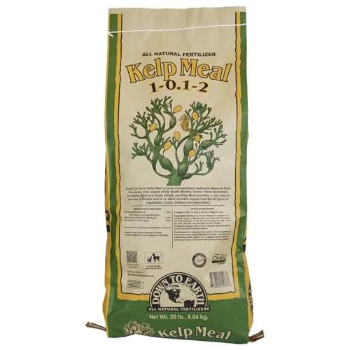 Down To Earth All Natural Fertilizers Organic Kelp Meal 20 lb | Supports lush growth & abundant fruit thumbnail 1
