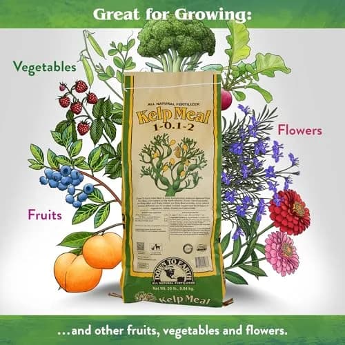 Down To Earth All Natural Fertilizers Organic Kelp Meal 20 lb | Supports lush growth & abundant fruit thumbnail 2