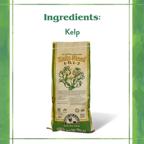 Down To Earth All Natural Fertilizers Organic Kelp Meal 20 lb | Supports lush growth & abundant fruit thumbnail 3
