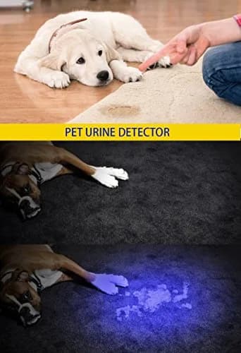 DARKBEAM UV Light Rechargeable Flashlight 395nm | Handheld Blacklight for Pet Urine & Currency thumbnail 3