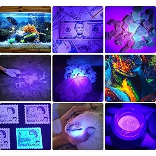 DARKBEAM UV 395nm Flashlight Blacklight Wood's lamp Mini, 400nm | Pet Urine & Currency Detector thumbnail 3