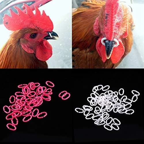 Walfront Chicken Beak Rings Medium 15mm x 9mm | Anti Pecking Reusable Plastic thumbnail 6