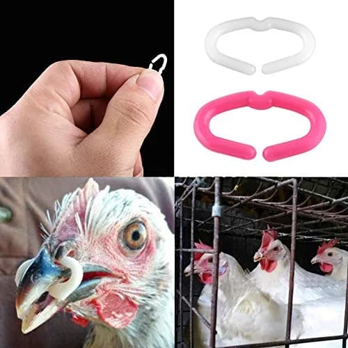 Walfront Chicken Beak Rings Medium 15mm x 9mm | Anti Pecking Reusable Plastic thumbnail 7