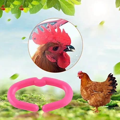 Walfront Chicken Beak Rings Medium 15mm x 9mm | Anti Pecking Reusable Plastic thumbnail 8