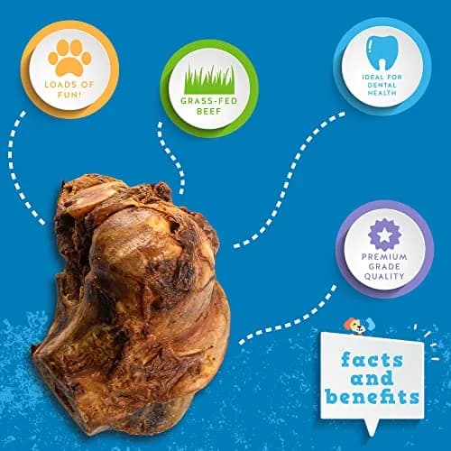 Jack&Pup Beef Knuckle Bones for Dogs, Large Size | Savory Smoked Beef Flavor (1 Pack) thumbnail 3