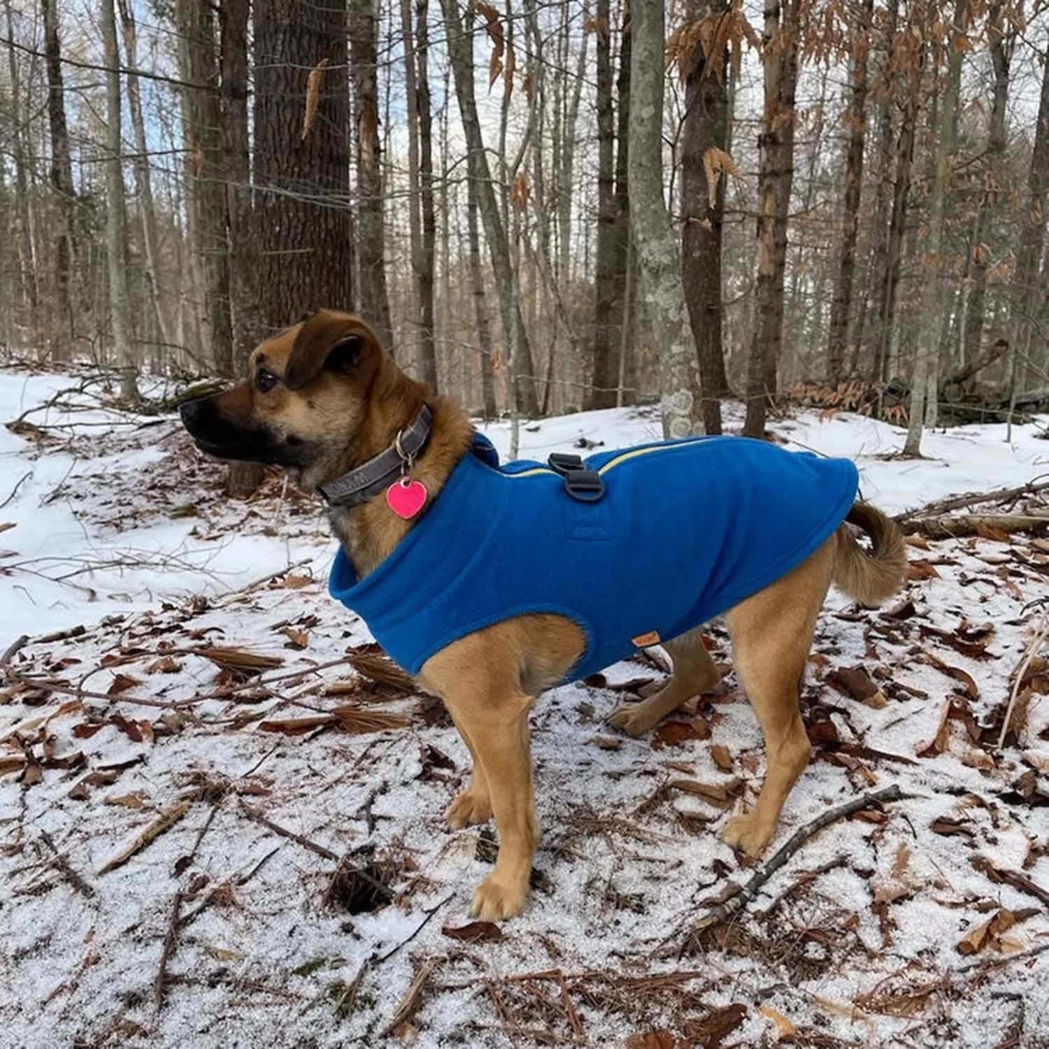 Gooby Zip-Up Fleece Dog Sweater Blue X-Large | Warm Winter Pet Apparel - view 6