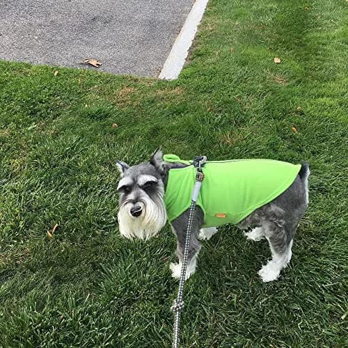 Gooby Zip-Up Fleece Dog Sweater Lime X-Large | Warm Winter Pet Apparel with Leash D-Ring thumbnail 5