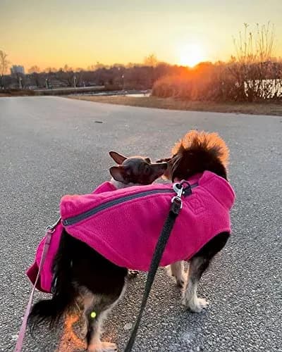 Gooby Zip-Up Fleece Dog Sweater Lime X-Large | Warm Winter Pet Apparel with Leash D-Ring thumbnail 6