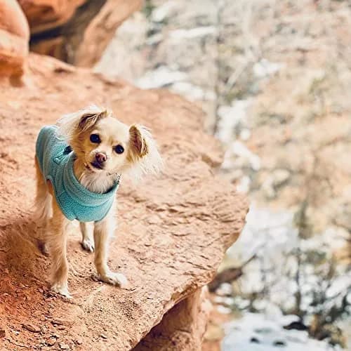 Gooby Zip-Up Fleece Dog Sweater, Turquoise, X-Small (28 cm Chest) thumbnail 7