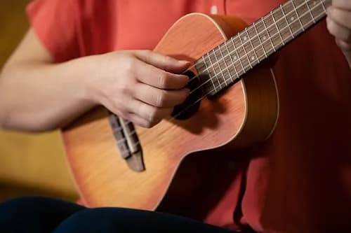 Ortega Guitars Earth Series Concert Ukulele 4-String Acoustic Right Trasparent Sunburst | Open Pore Finish thumbnail 5