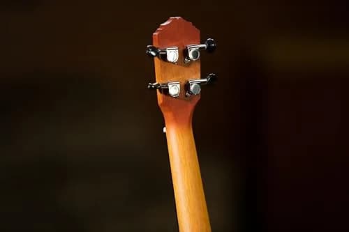 Ortega Guitars Earth Series Concert Ukulele 4-String Acoustic Right Trasparent Sunburst | Open Pore Finish thumbnail 7