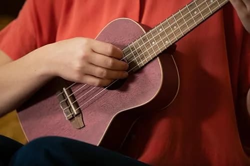 Ortega Guitars Concert Ukulele Earth Series Ruby Raspberry | 4-String Acoustic with Open Pore Finish thumbnail 4