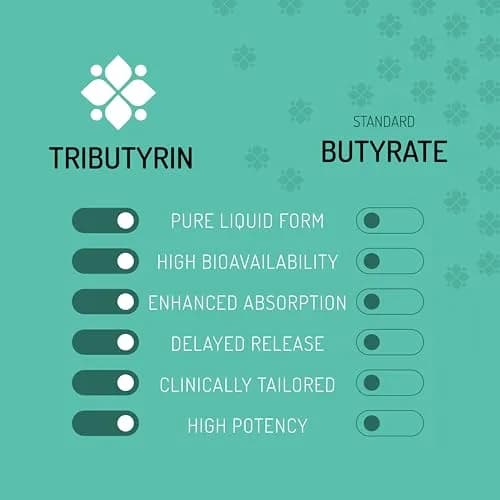 Healus Complete Biotic Postbiotic Tributyrin Supplement 60 Capsules | Supports Gut Health & Digestion thumbnail 5
