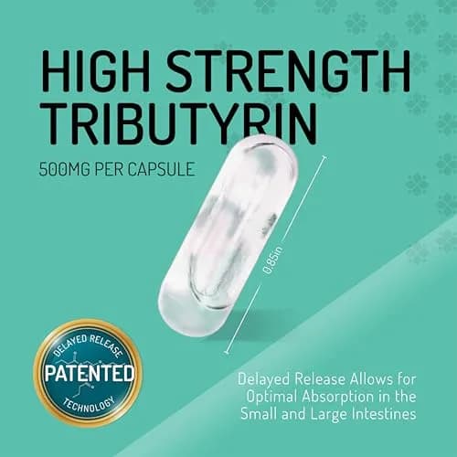Healus Complete Biotic Postbiotic Tributyrin Supplement 60 Capsules | Supports Gut Health & Digestion thumbnail 3