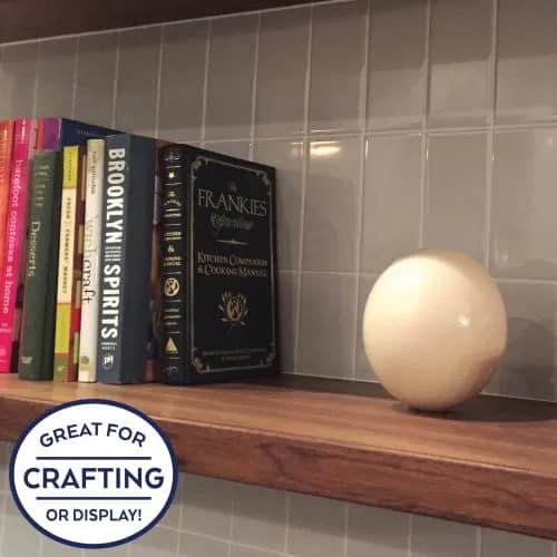 American Ostrich Farms Ostrich Eggshell Large Natural Sheen | Unique Craft Shell Laid in USA thumbnail 3