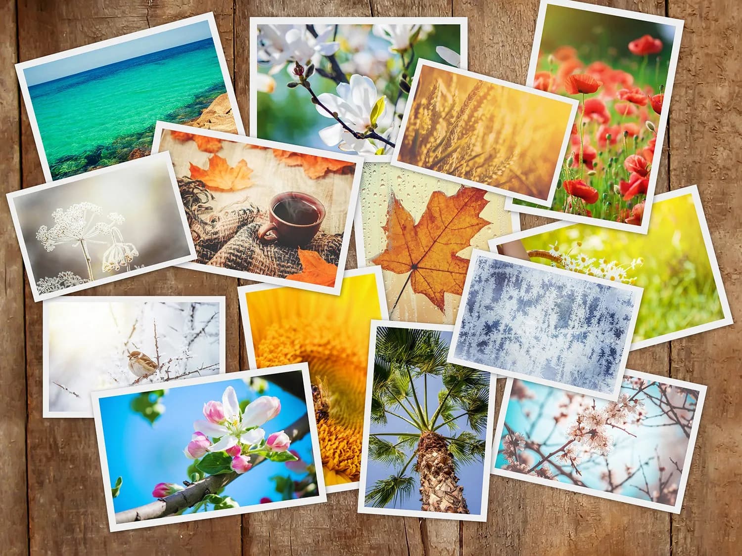 KODAK 2x3 Premium Sticky-Backed ZINK Photo Paper (20 Sheets) | Fade-Resistant Prints for Instant Memories - view 9