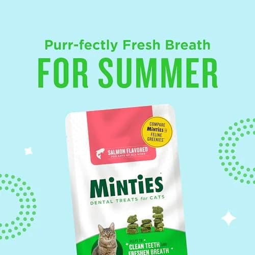 Minties Salmon Flavored Dental Treats for Cats 70.87g (2.5oz) | Freshens Breath & Controls Tartar thumbnail 8